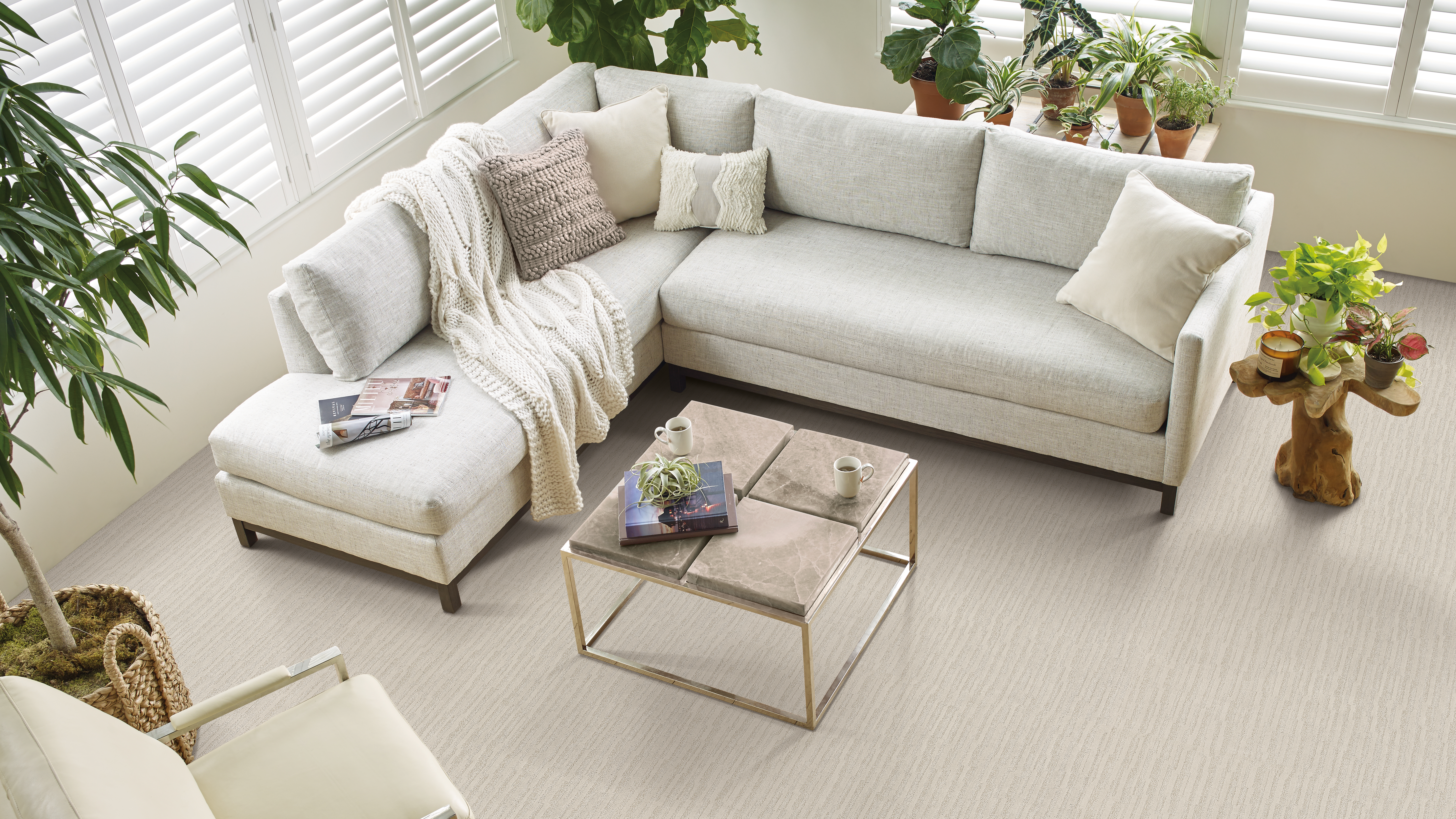 Carpet in a living room